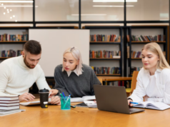 Возможности обучения и карьерного роста на факультете бизнеса университета для разных специальностей и направлений