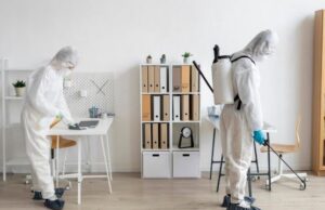 Обработка квартиры от клещей: методы и рекомендации